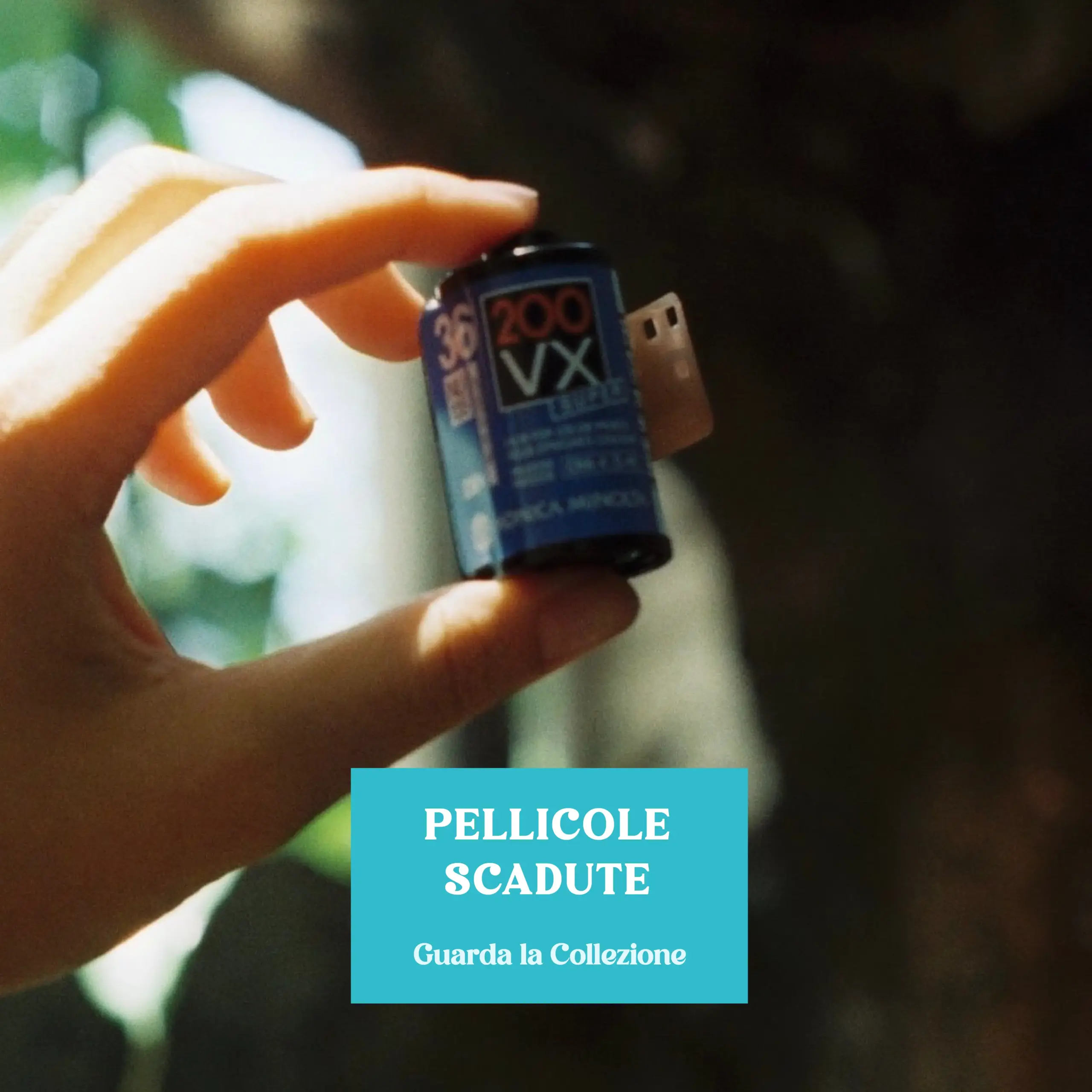 bg_category-pellicole-scadute-03-02-02